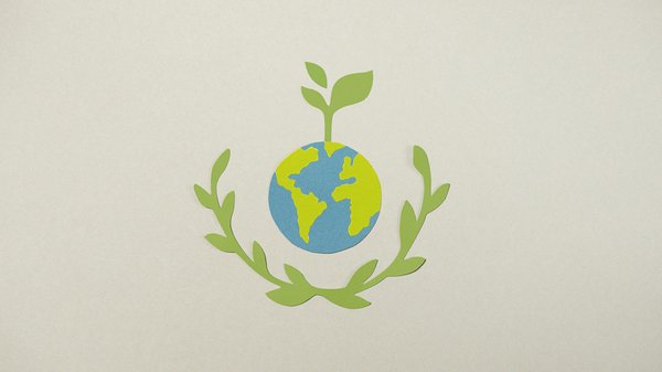 Guide Ultime pour Échapper aux Violences Conjugales : Ressources et Soutien